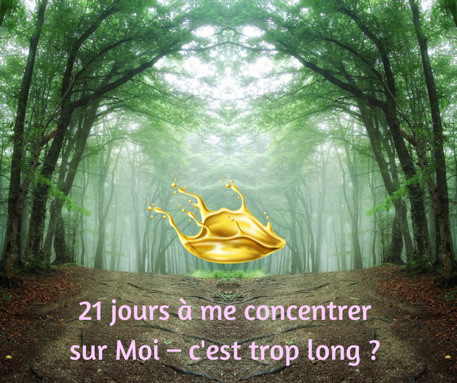 Un programme de 21 jours conçu pour transformer vos peurs et limitations, vous aidant à émerger en maître de votre vie à travers un voyage personnel profond.